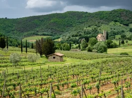 Bendecidos para bendecir a otros