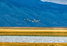 La insuficiencia como bendición