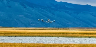 La insuficiencia como bendición