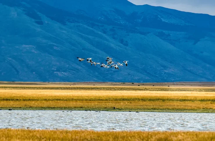 La insuficiencia como bendición
