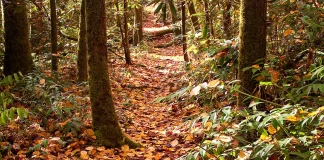 Para convertir la insuficiencia en victoria