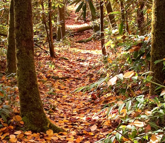 Para convertir la insuficiencia en victoria