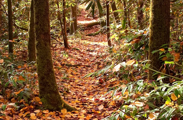 Para convertir la insuficiencia en victoria