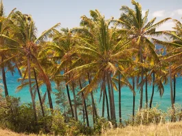 Orar con las promesas de Dios