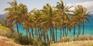 Orar con las promesas de Dios