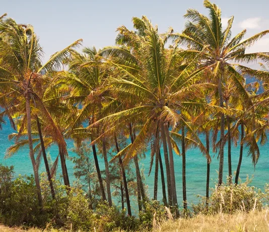 Orar con las promesas de Dios