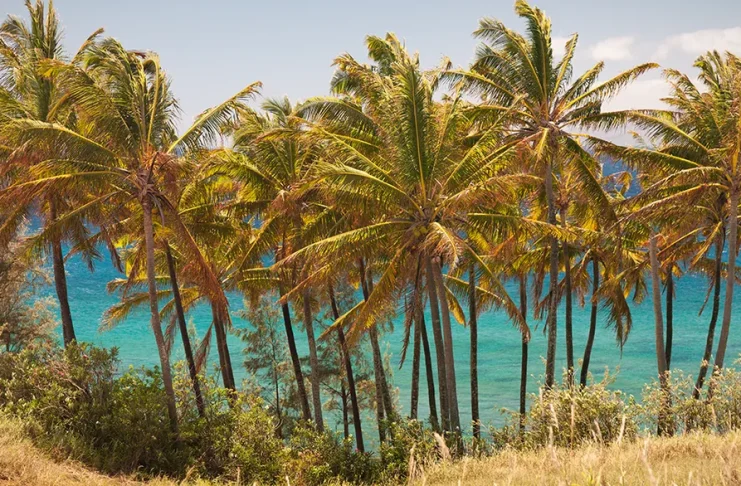 Orar con las promesas de Dios