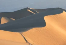 Cómo cultivar la paciencia