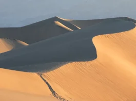Cómo cultivar la paciencia