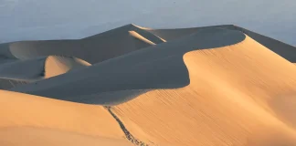 Cómo cultivar la paciencia