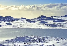 En busca de plenitud