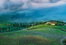 Para encontrar plenitud