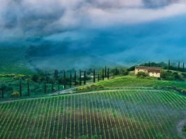 Para encontrar plenitud