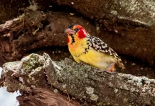 Edificación para recompensas eternas