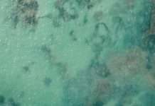 Integridad verdadera