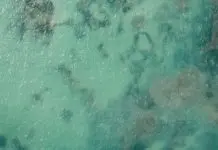 Integridad verdadera