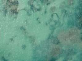 Integridad verdadera