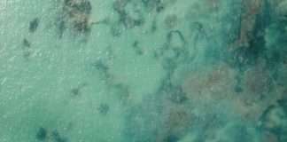 Integridad verdadera