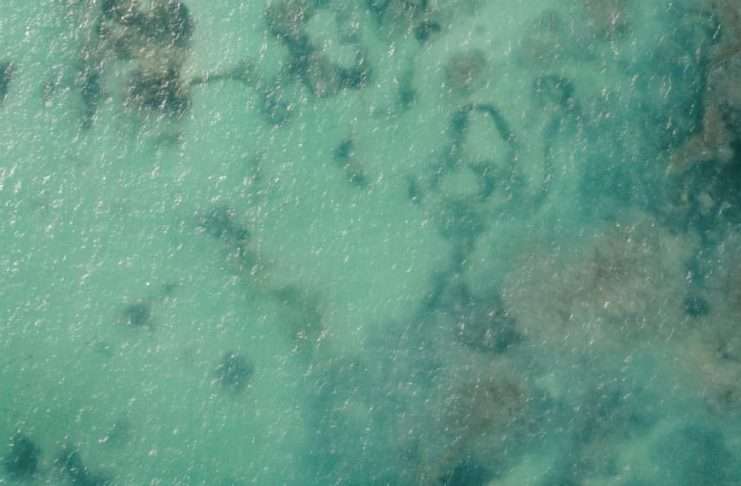 Integridad verdadera