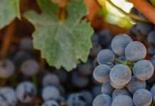 Recordatorios de amor