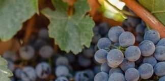 Recordatorios de amor