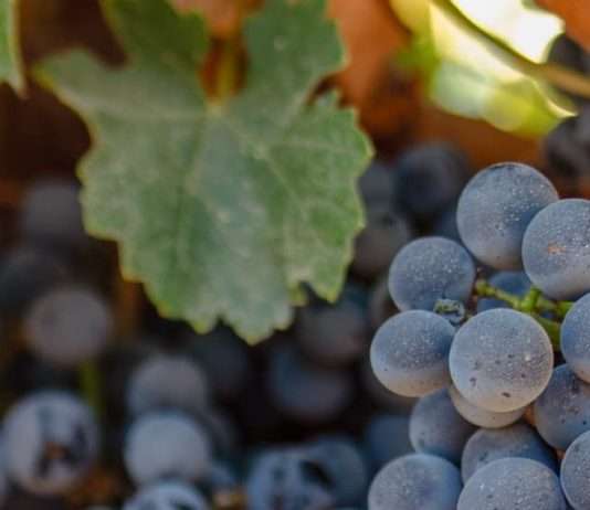 Recordatorios de amor