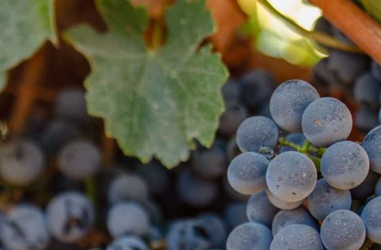 Recordatorios de amor