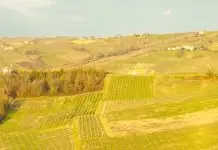 Servir a Dios por amor