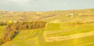 Servir a Dios por amor