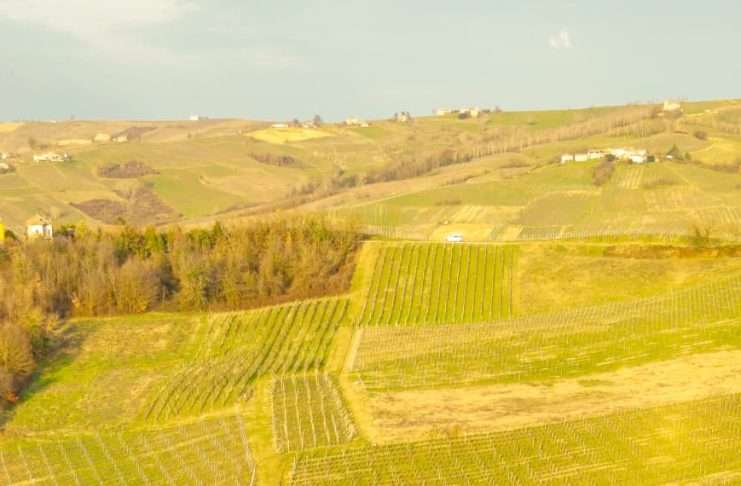 Servir a Dios por amor