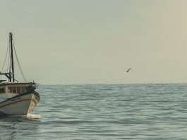 Dios, nuestro proveedor