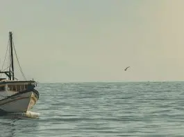 Dios, nuestro proveedor