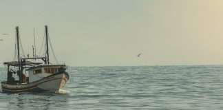 Dios, nuestro proveedor