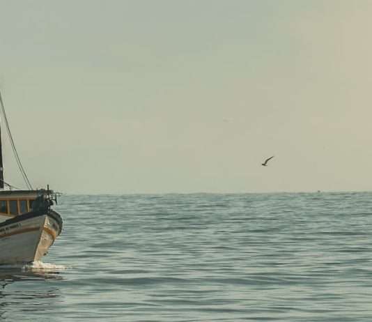 Dios, nuestro proveedor