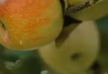 Cosecha sus bendiciones