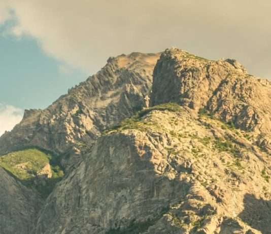 Agentes de un Rey superior