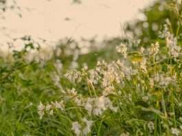 La responsabilidad es importante