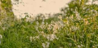 La responsabilidad es importante