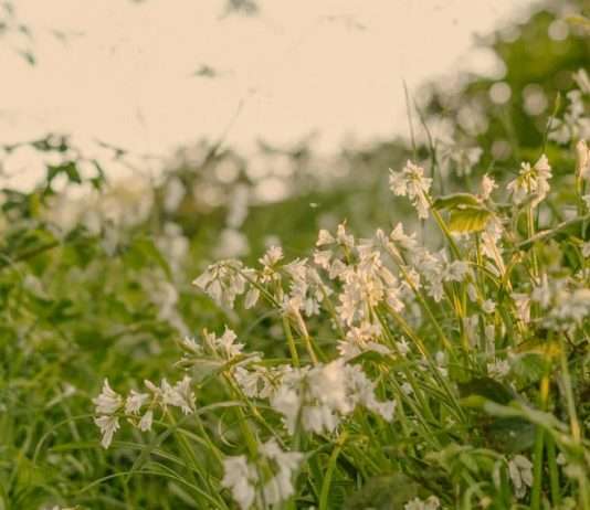 La responsabilidad es importante