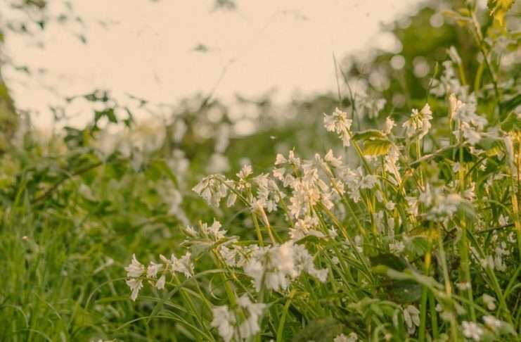 La responsabilidad es importante