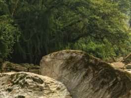 Perdido, pero ahora encontrado