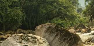 Perdido, pero ahora encontrado