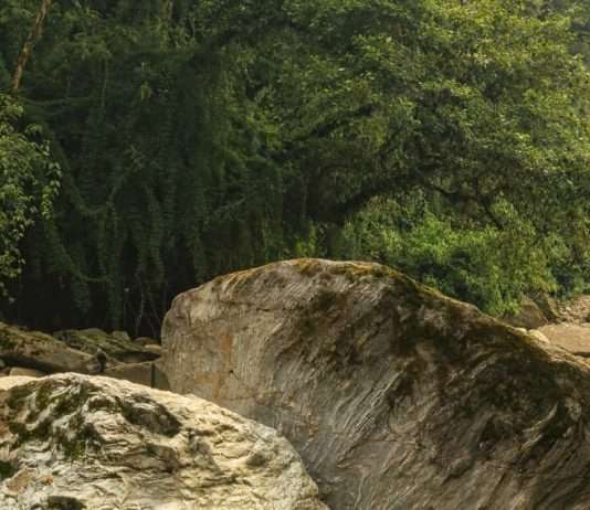 Perdido, pero ahora encontrado