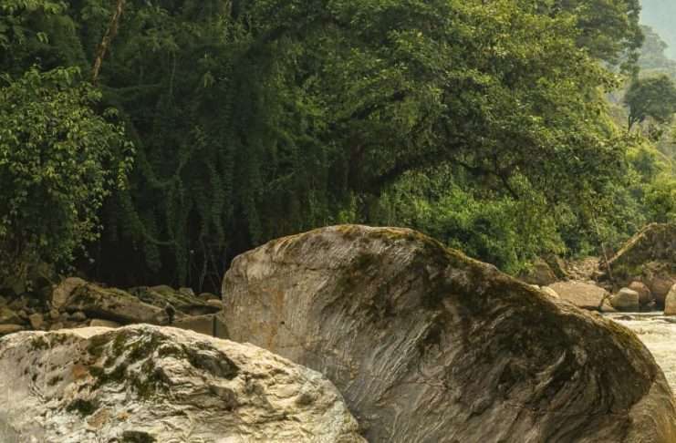 Perdido, pero ahora encontrado