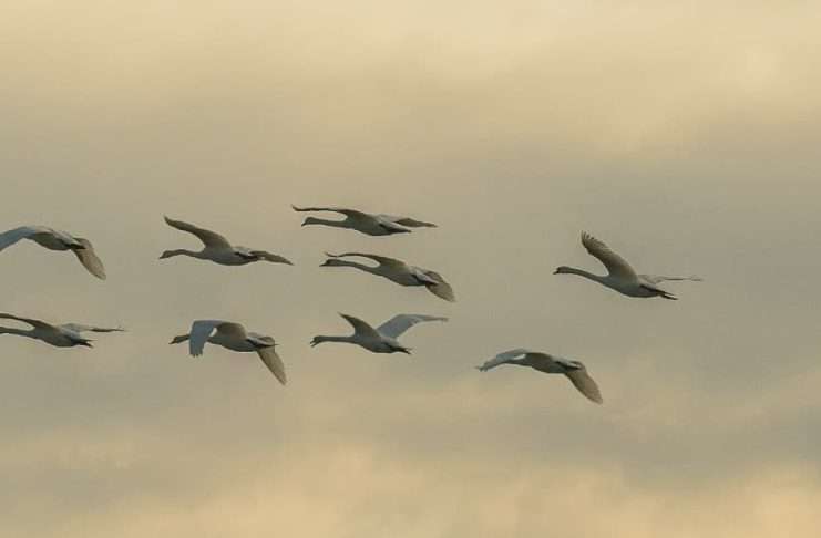 Mantenerse en armonía