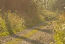 Bajo la mirada de Dios