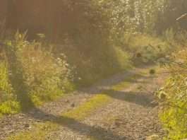 Bajo la mirada de Dios