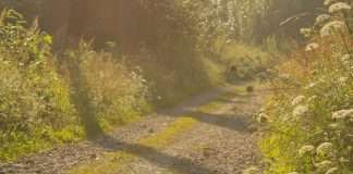 Bajo la mirada de Dios