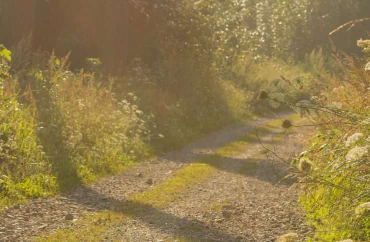 Bajo la mirada de Dios