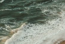 Libertad en el amor de Dios
